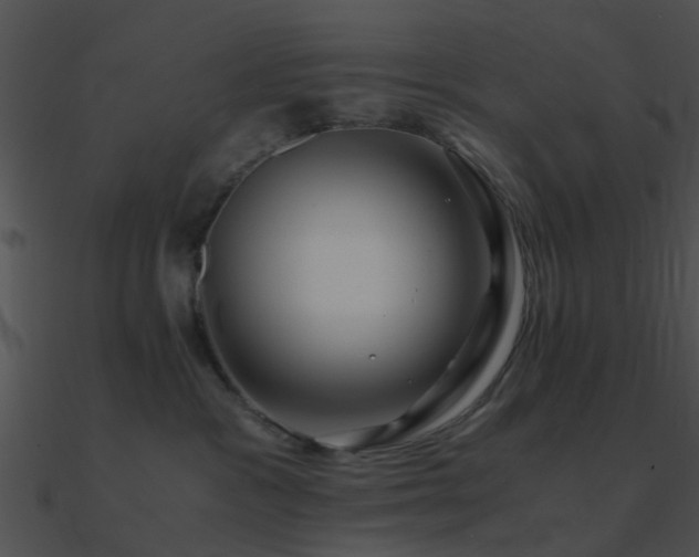 X0000090990333200708021528
