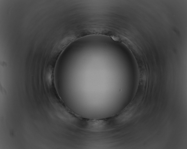 X0000090990334200708021528