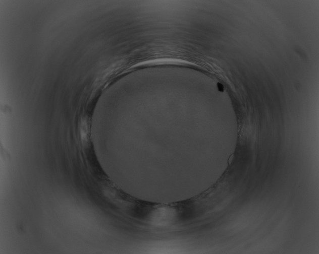 X0000090990335200708021528