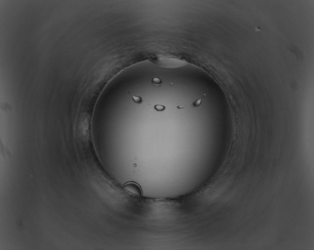 X0000090990336200708021528