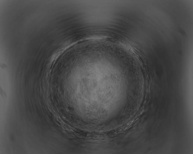 X0000090990337200708021527