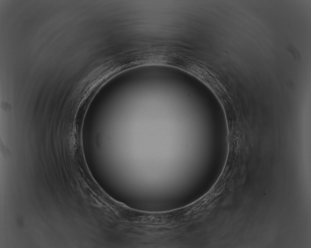 X0000090990338200708021527