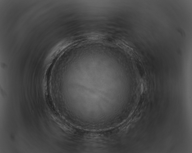 X0000090990339200708021527