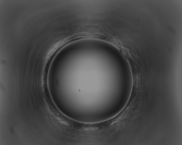 X0000090990340200708021527