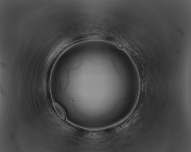 X0000090990341200708021527