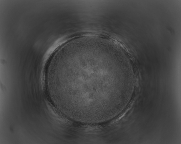 X0000090990343200708021527