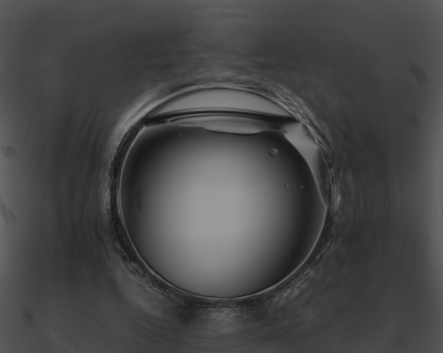 X0000090990344200708021527