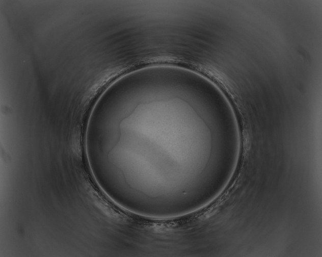 X0000090990345200708021527