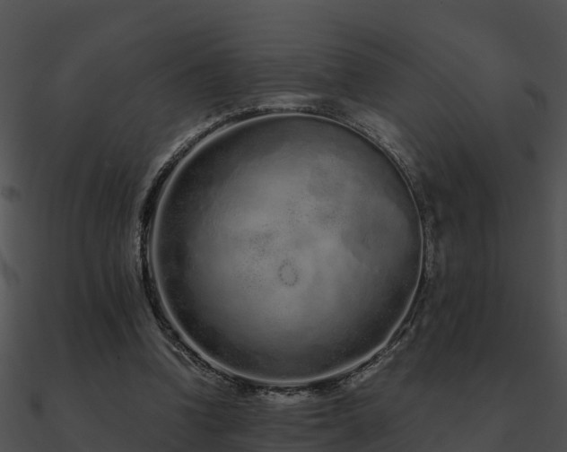 X0000090990346200708021527