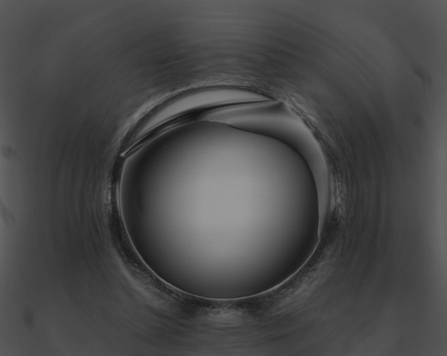 X0000090990348200708021527