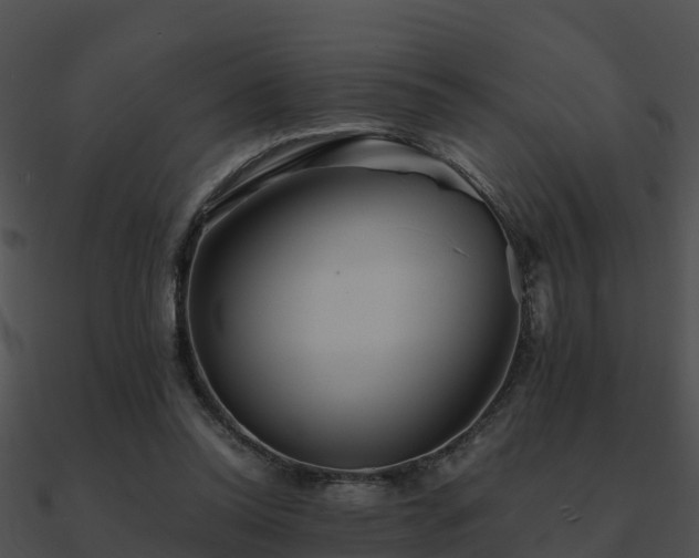 X0000090990350200708021527