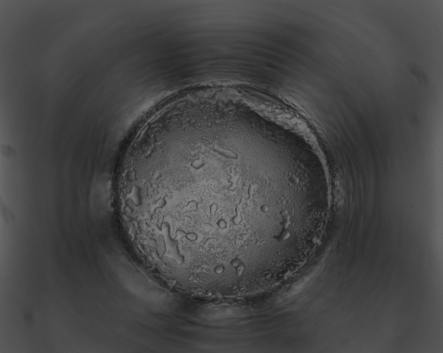 X0000090990351200708021527