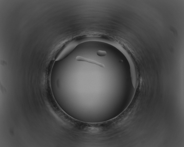 X0000090990352200708021527
