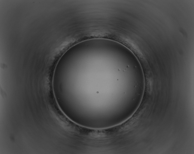 X0000090990354200708021527