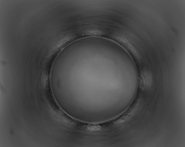 X0000090990355200708021527