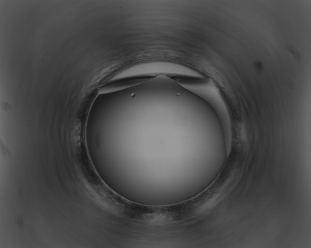 X0000090990356200708021527