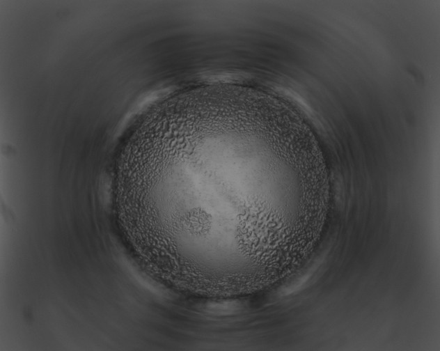 X0000090990357200708021527