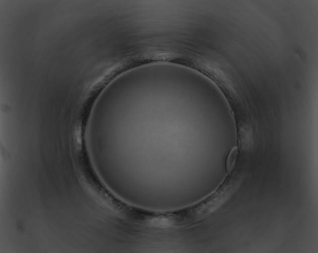 X0000090990358200708021527