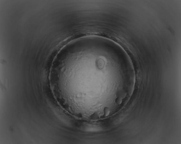 X0000090990359200708021527