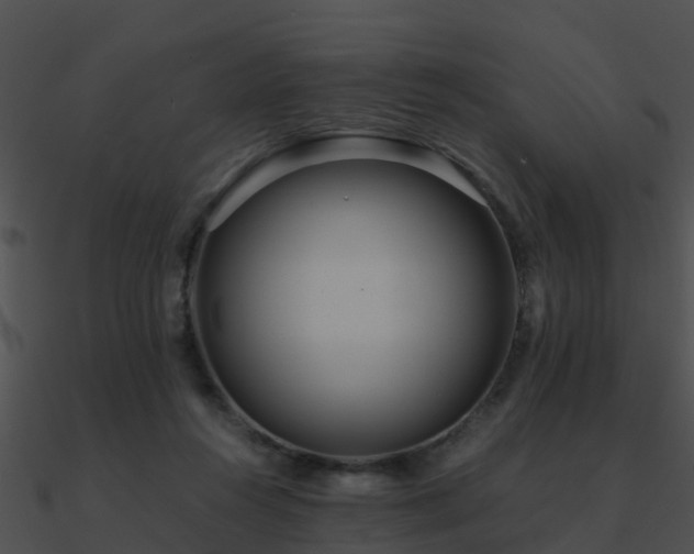 X0000090990360200708021527