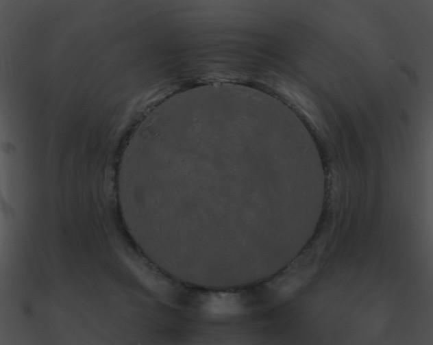 X0000090990361200708021527