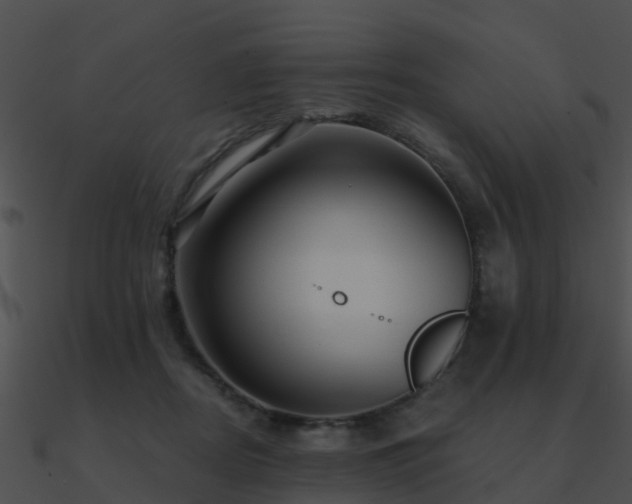 X0000090990362200708021527