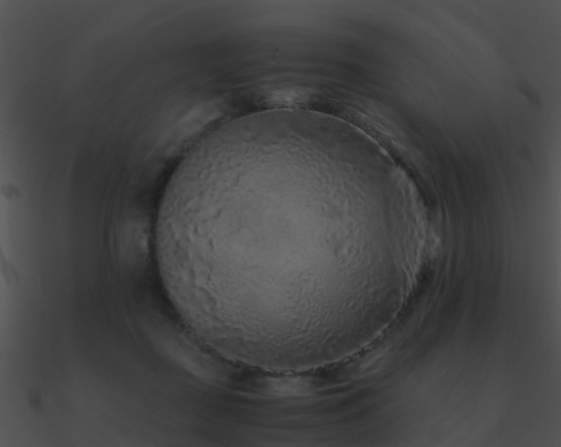X0000090990363200708021527