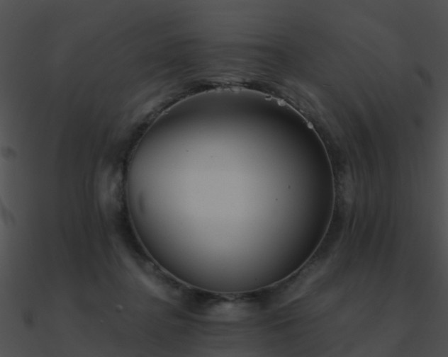 X0000090990364200708021527