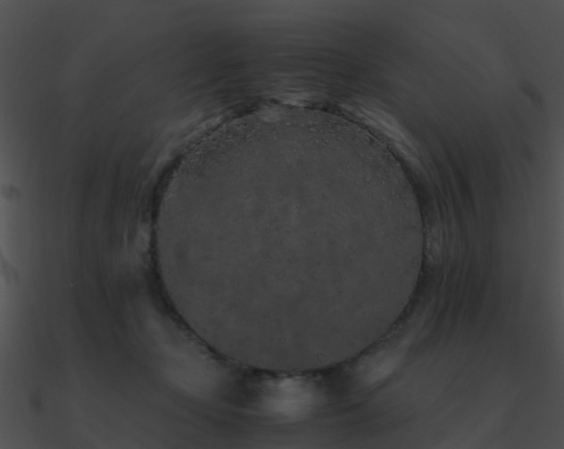 X0000090990365200708021527