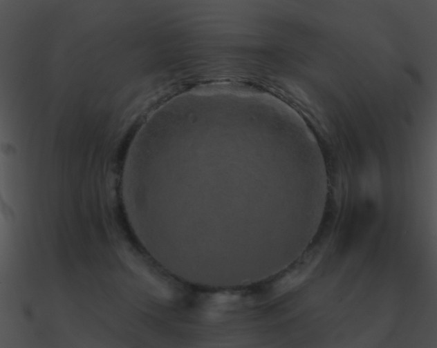 X0000090990366200708021527