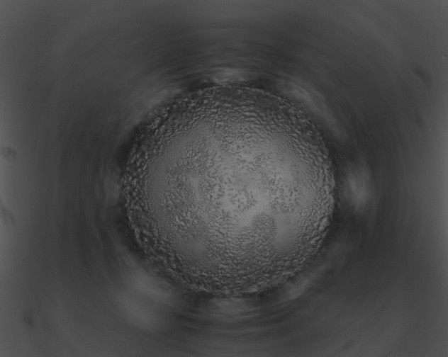 X0000090990367200708021527