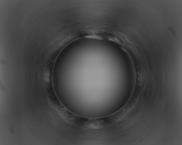 X0000090990368200708021527