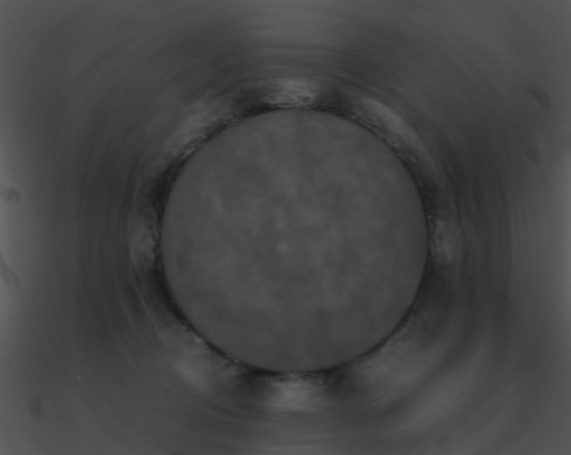 X0000090990370200708021528