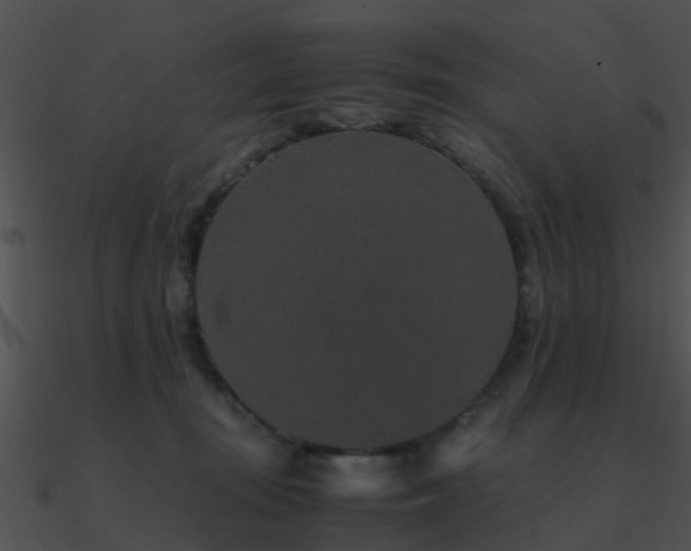 X0000090990371200708021528