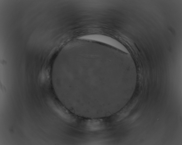 X0000090990373200708021528