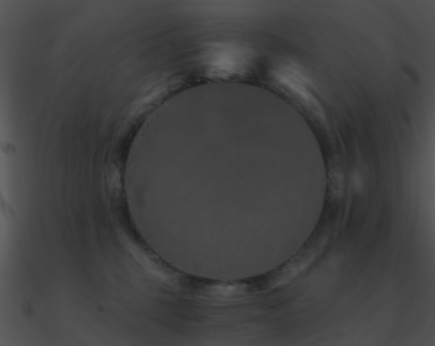 X0000090990375200708021528