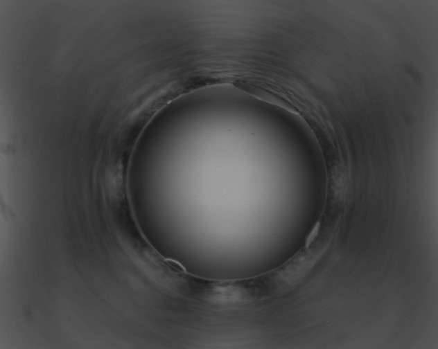 X0000090990376200708021528