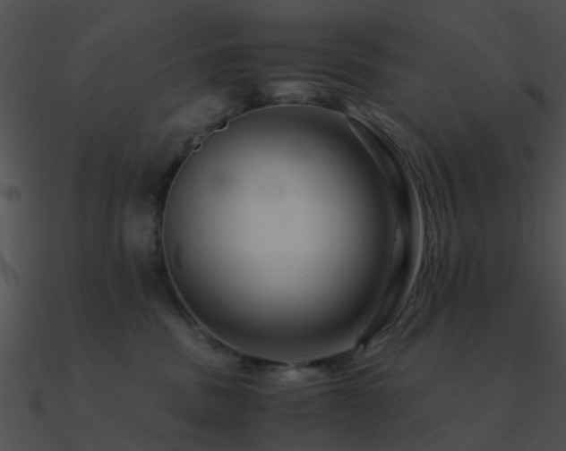 X0000090990379200708021528