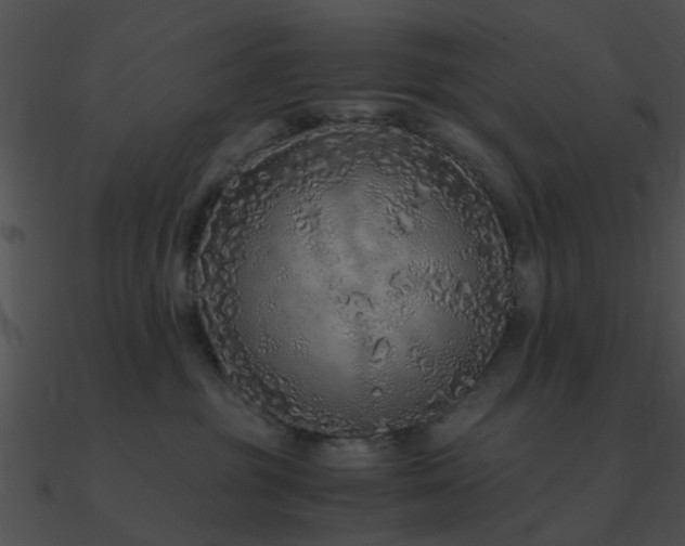 X0000090990381200708021528