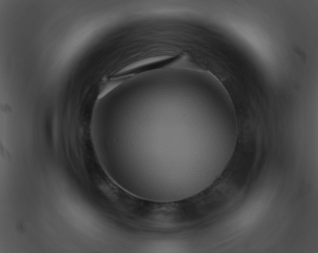 X0000090990382200708021528