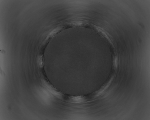 X0000090990383200708021528