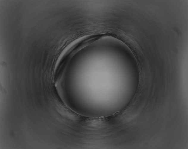 X0000090990384200708021528