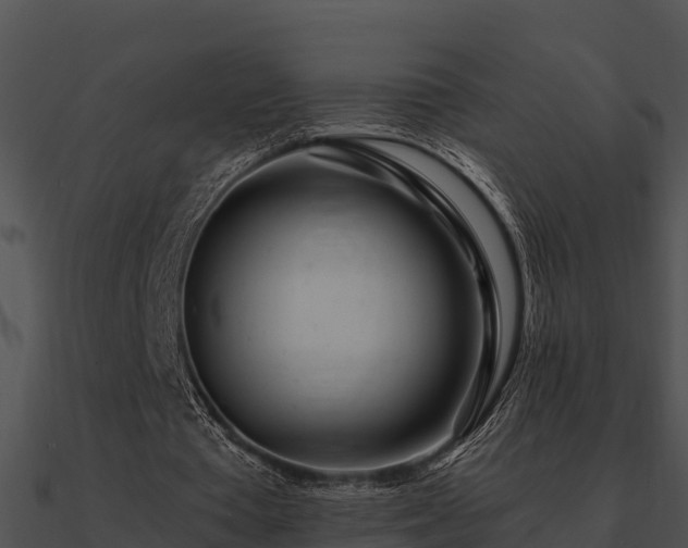 X0000090990385200708021527