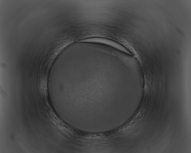 X0000090990386200708021527