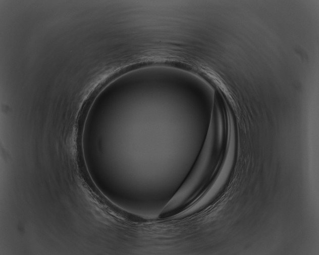 X0000090990387200708021527