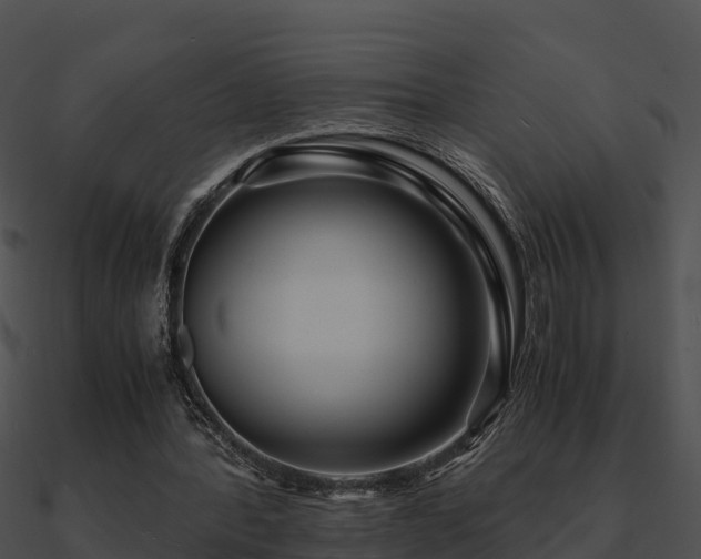X0000090990388200708021527