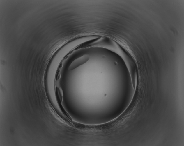 X0000090990389200708021527