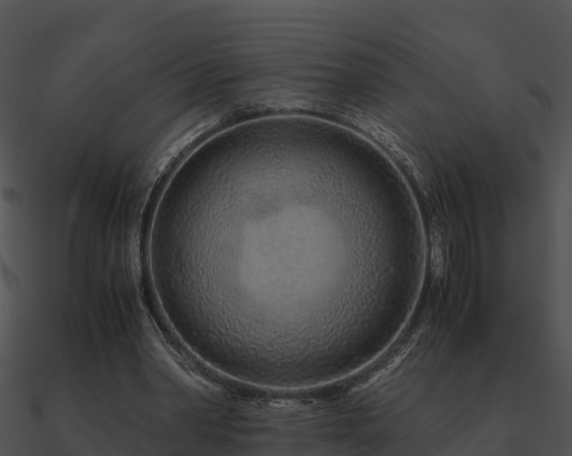 X0000090990390200708021527
