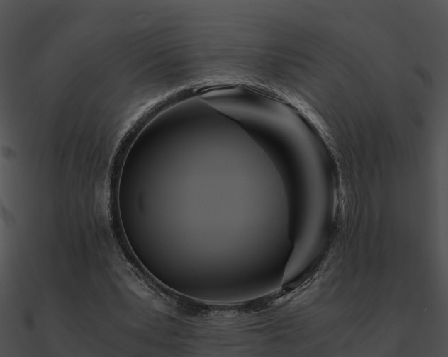 X0000090990391200708021527