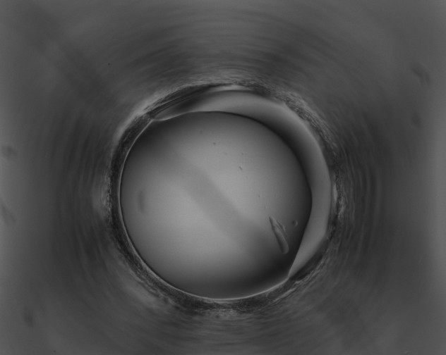 X0000090990392200708021527
